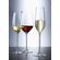 Schott-Zwiesel--Fortissimo-Copa-Vino-