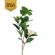 Tallo-de-camelia-artificial