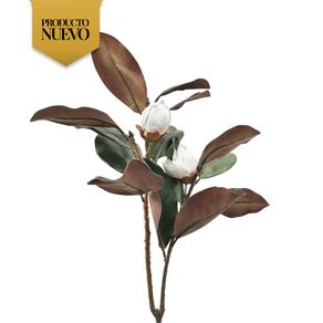MAGNOLIA-DOBLE-TALLO