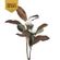 MAGNOLIA-DOBLE-TALLO
