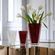 jarron-Baccarat-Eye-rojo-rectangular-cristal